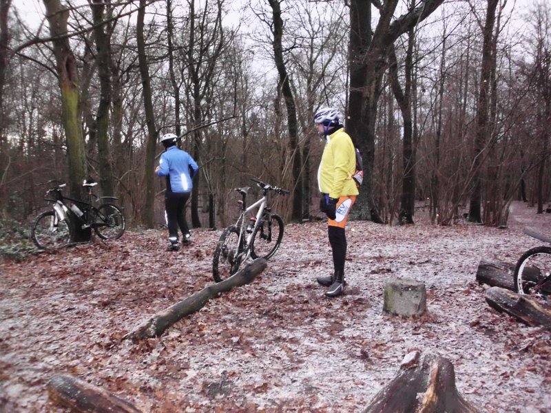 Hamburg Bikes Crosstour Stine 35